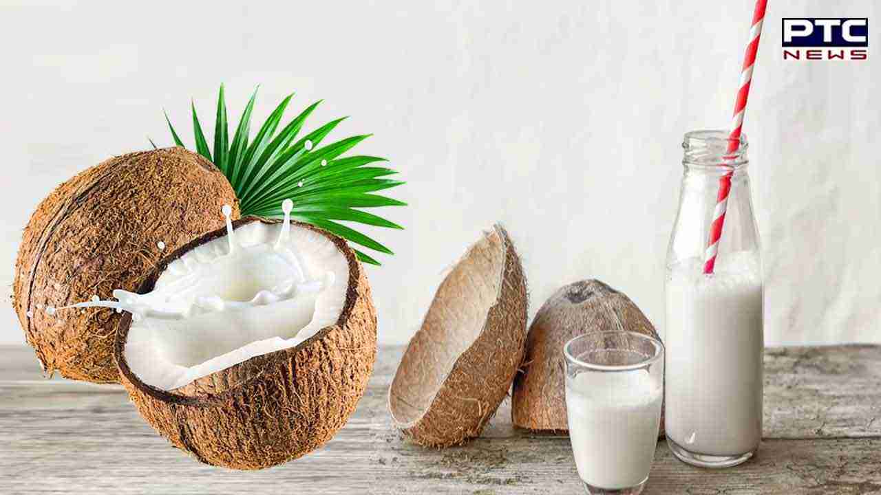 Coconut Milk Benefits : ਰੋਜ਼ਾਨਾ ਪੀਓ ਨਾਰੀਅਲ ਦਾ ਦੁੱਧ, ਸਿਹਤ ਨੂੰ ਮਿਲਣਗੇ ਇਹ ਹੈਰਾਨ ਕਰ ਦੇਣ ਵਾਲੇ ਫਾਇਦੇ