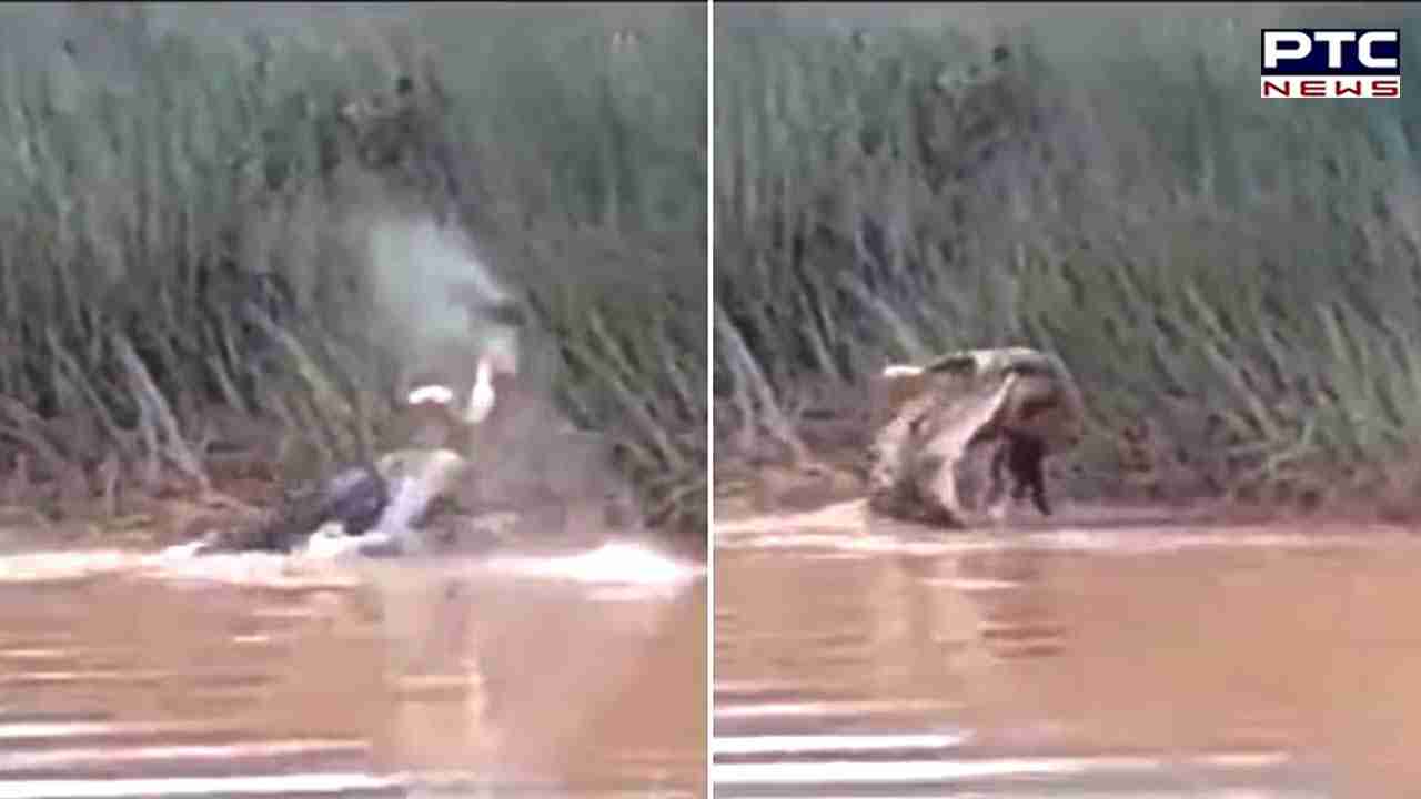 Viral video: Crocodile drags woman into river, eats her alive in Odisha