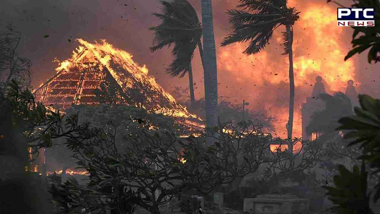 Hawaii wildfires: Maui death toll mounts to 80; deadliest in state history