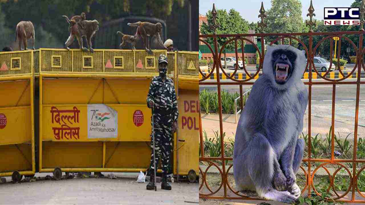 G20 Summit: Langur cut-outs placed along G20 routes in Delhi to check monkey intrusions