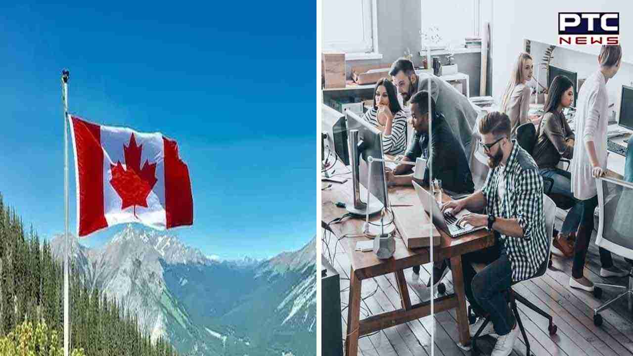 Indian tech talent flocking to Canada; 15,000 professionals migrate in 12 months: Report
