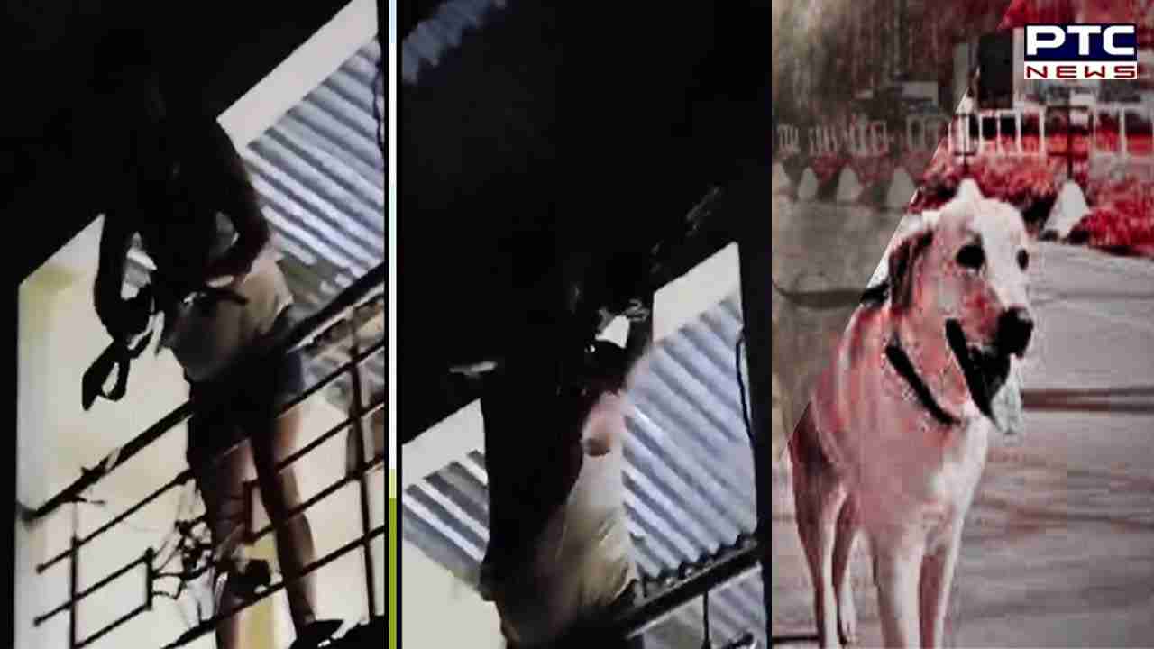 Indore tragedy: Fatal shooting erupts from dog dispute, leaving 2 dead and 6 injured