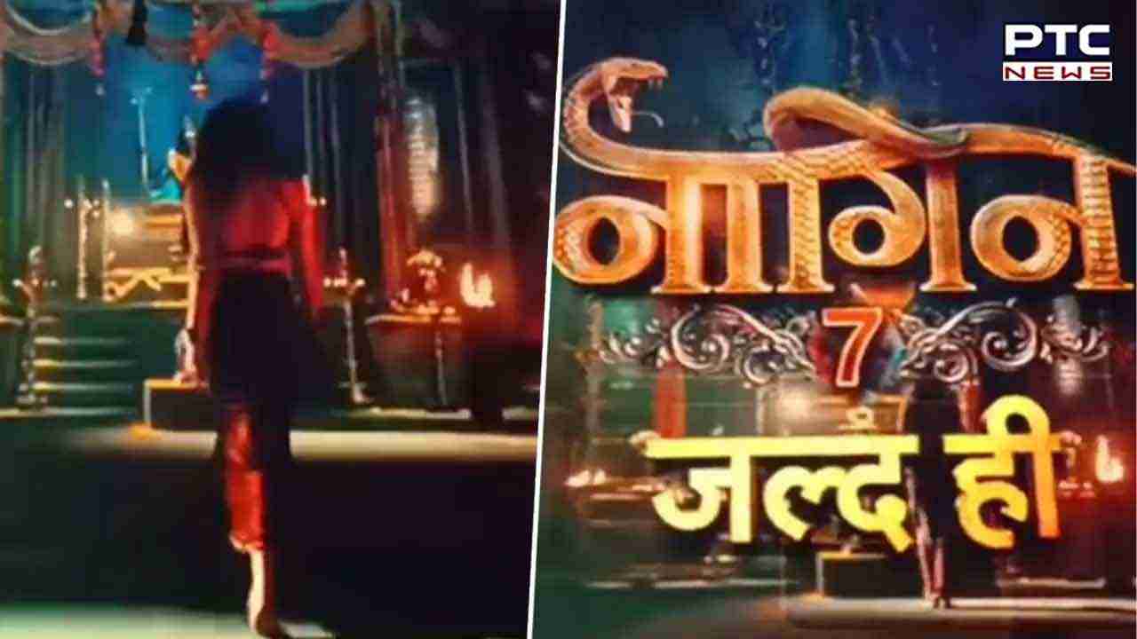 Naagin: ਏਕਤਾ ਕਪੂਰ ਨੇ ਨਾਗਿਨ ਬਣਾਉਣ ਲਈ ਇਨ੍ਹਾਂ ਹਸੀਨਾਵਾਂ ਨੂੰ ਦਿੱਤੀ ਮੋਟੀ ਫੀਸ, ਜਾਣੋ ...