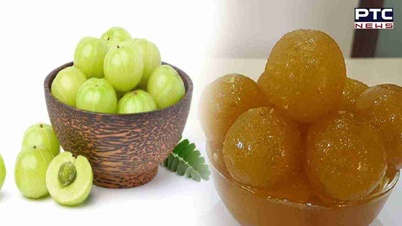 Eating Amla Pickle Benefits : ਸਰੀਰ ਨੂੰ ਹੋਣ ਵਾਲੀਆਂ ਬਿਮਾਰੀਆਂ ਦੇ ਖਤਰੇ ਨੂੰ ਦੂਰ ਰੱਖਣ ਲਈ ਖਾਓ ਆਂਵਲੇ ਦਾ ਅਚਾਰ