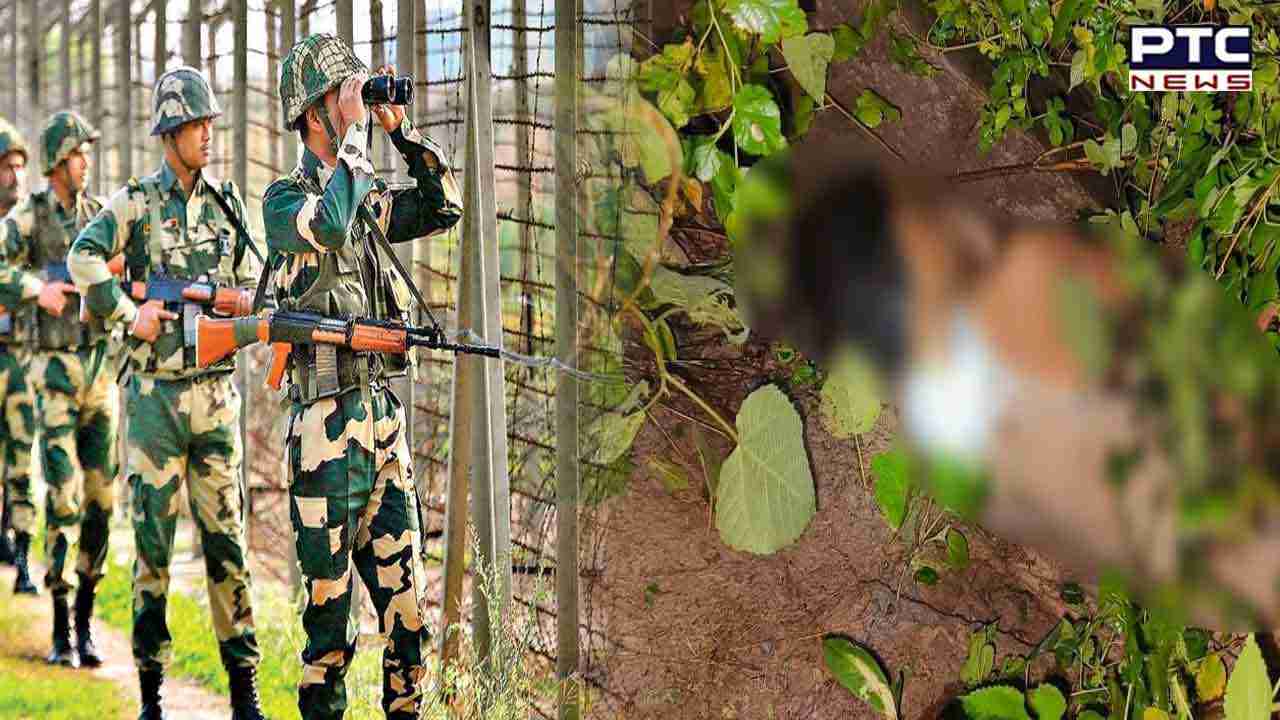 Punjab: BSF shoots down Pakistani intruder along Pathankot border