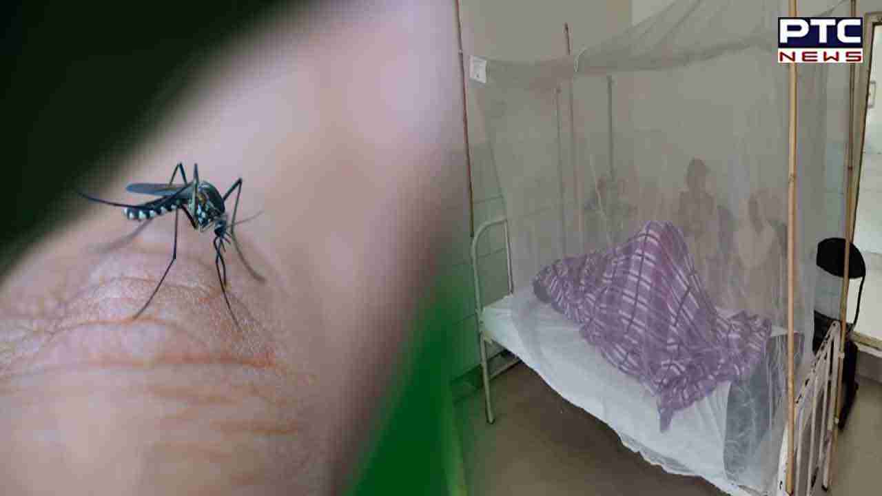 Dengue In Bathinda: ਮੀਂਹ ਮਗਰੋਂ ਬਠਿੰਡਾ ’ਚ ਡੇਂਗੂ ਦੀ ਦਸਤਕ, ਸਿਹਤ ਵਿਭਾਗ ਨੇ ਦਿੱਤੀ ਇਹ ਹਿਦਾਇਤ