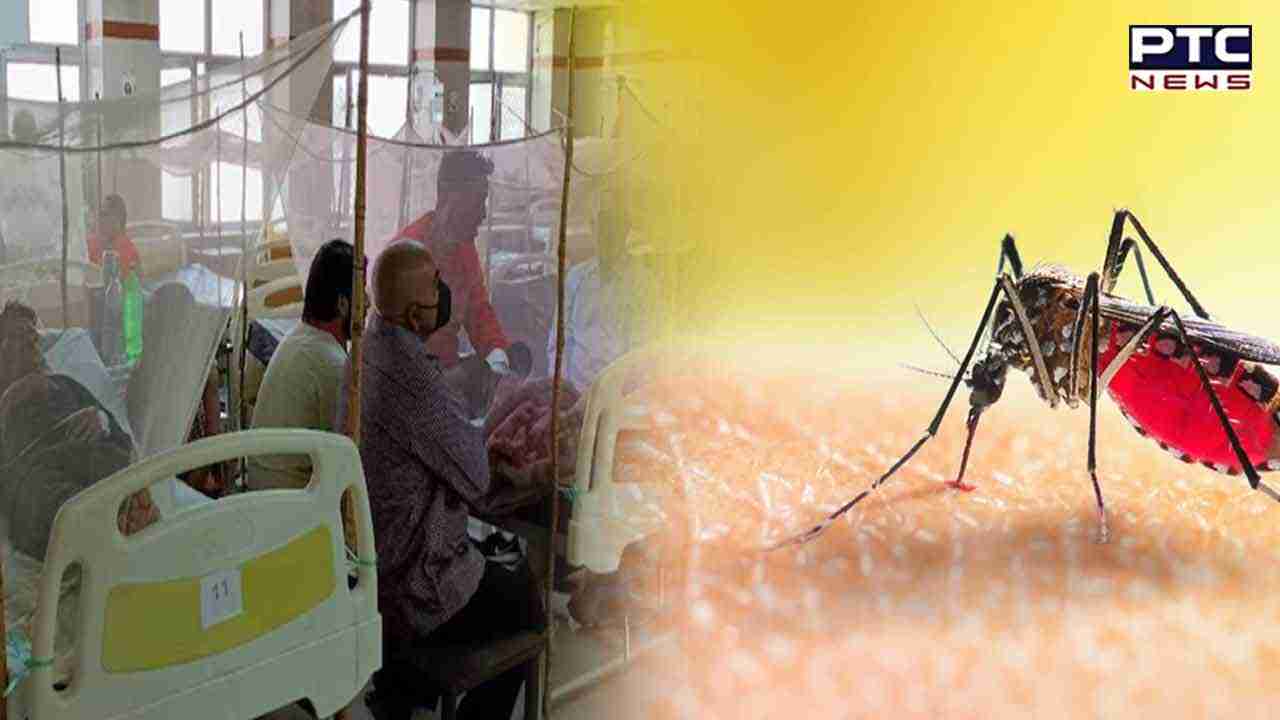 Uttarakhand floods: State faces uptick in mosquito-borne viral diseases; dengue cases cross 600 mark