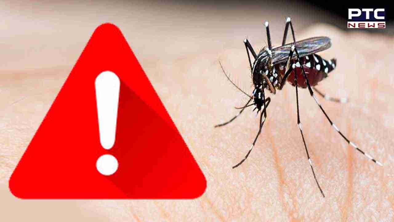 Punjab floods: State faces surge in dengue, chikungunya and eye flu cases