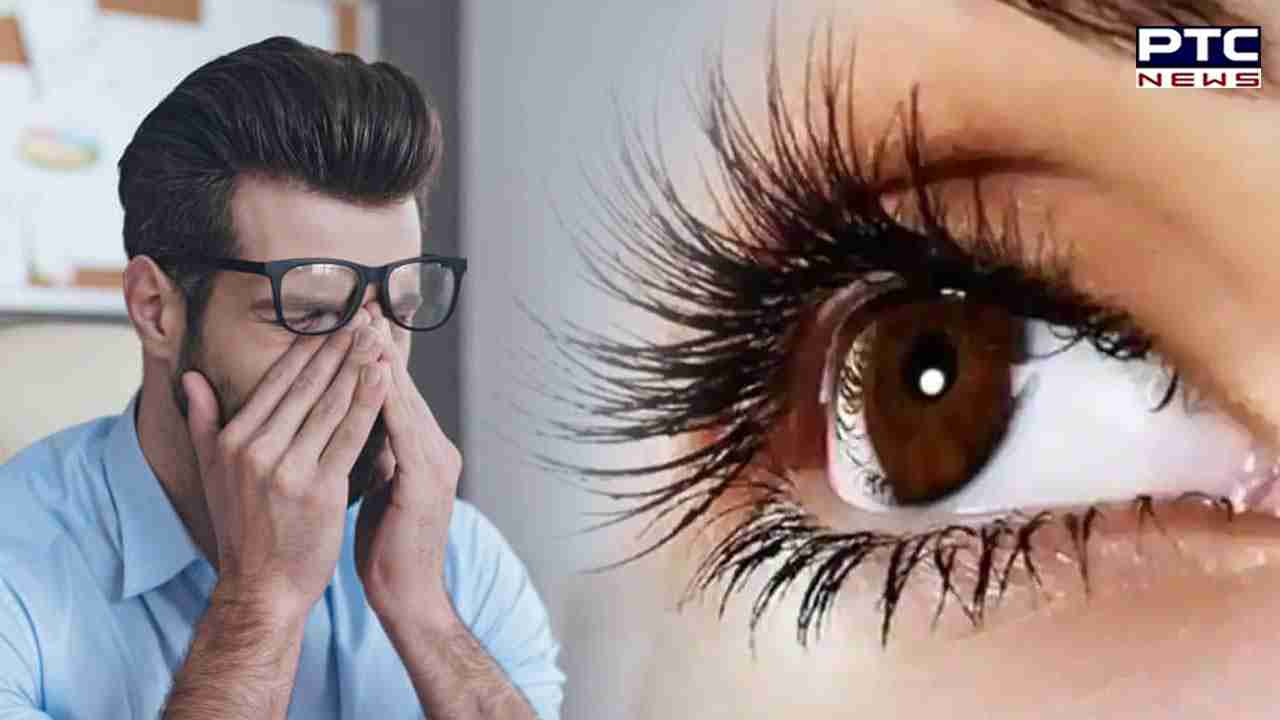 Eyes Problems: ਜੇਕਰ ਤੁਸੀਂ ਵੀ 8 ਤੋਂ 10 ਘੰਟੇ ਤੱਕ ਸਕ੍ਰੀਨ ਅੱਗੇ ਬੈਠਦੇ ਹੋ ਤਾਂ ਇਹ ਖ਼ਬਰ ਹੈ ਤੁਹਾਡੇ ਲਈ ਜਰੂਰੀ