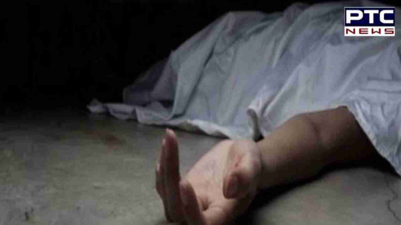 Woman dies after lift cable snaps in UP's Noida society