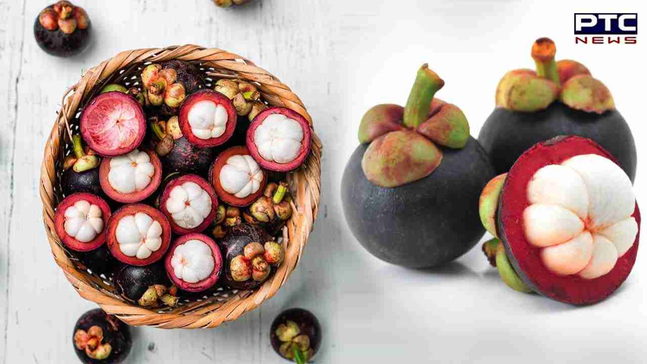 Mangosteen  ਇਸ ਫਲ ਦਾ ਨਾਮ ਅਤੇ ਸਵਾਦ ਅੰਬ ਵਰਗਾ ਹੀ ਹੈ, ਪਰ ਇਹ...