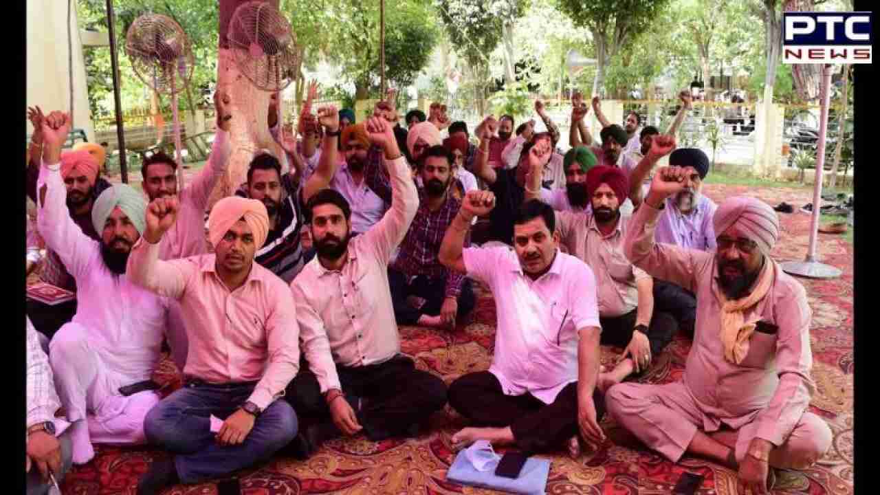 Punjab patwari strike: Revenue officials modify stance, agree to attend work in own revenue circles