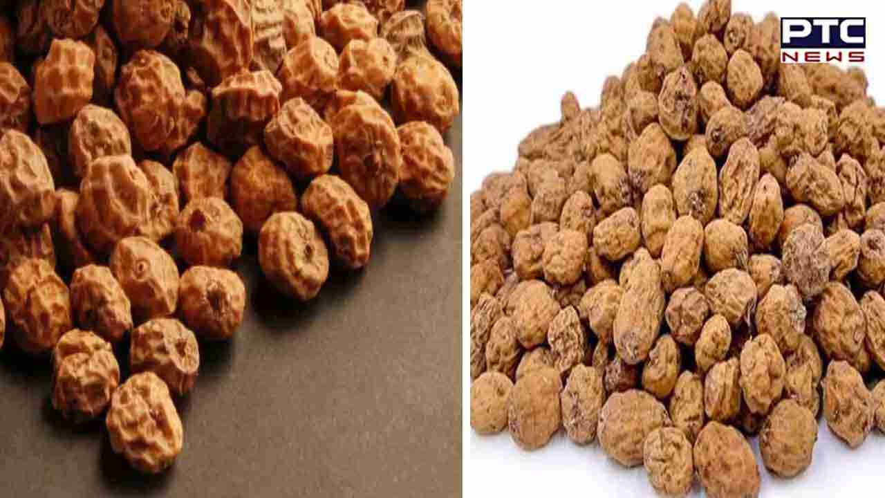 Tiger Nuts Benefits: ਇਮਿਊਨਿਟੀ ਵਧਾਉਣ ਲਈ ਕਾਰਗਾਰ ਟਾਈਗਰ ਨਟਸ, ਹੋਰ ਵੀ ਮਿਲਣਗੇ ਸਰੀਰ ਨੂੰ ਫਾਇਦੇ