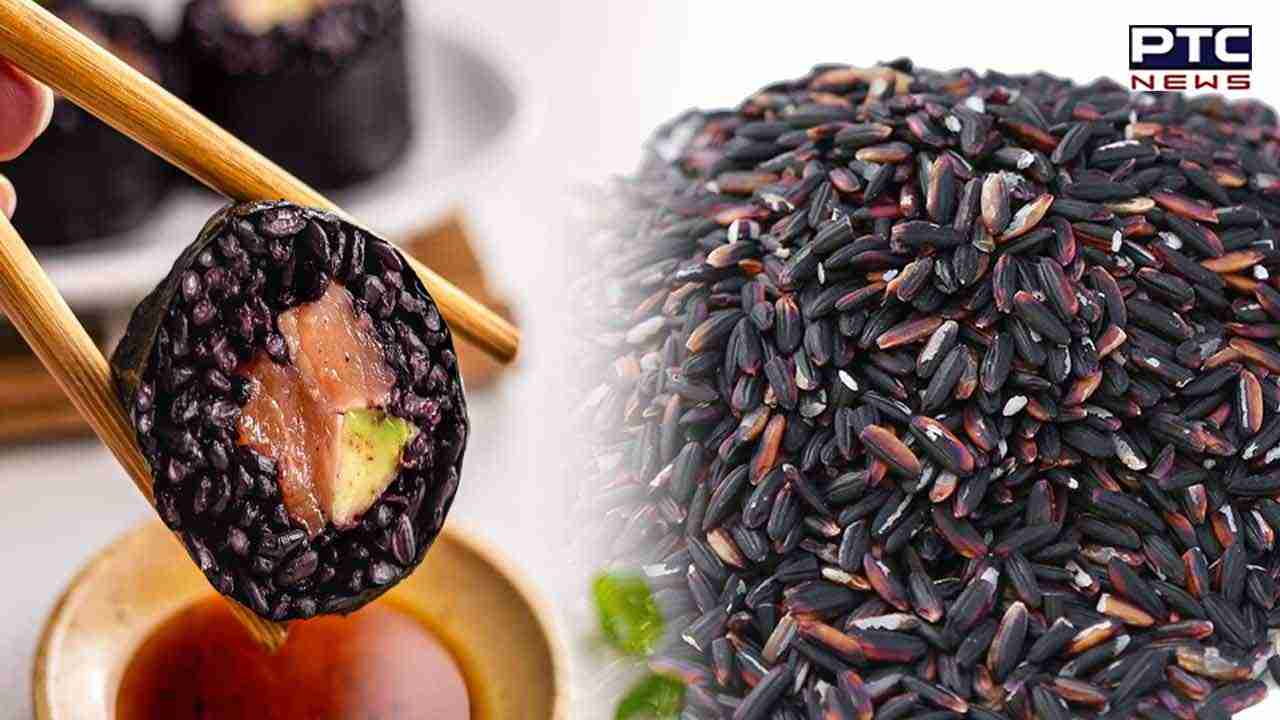 Black Rice Benefits: ਕਾਲੇ ਚੌਲ ਖਾਣ ਨਾਲ ਸਿਹਤ ਨੂੰ ਮਿਲਦੇ ਹਨ ਇਹ ਹੈਰਾਨ ਕਰ ਦੇਣ ਵਾਲੇ ਫਾਇਦੇ