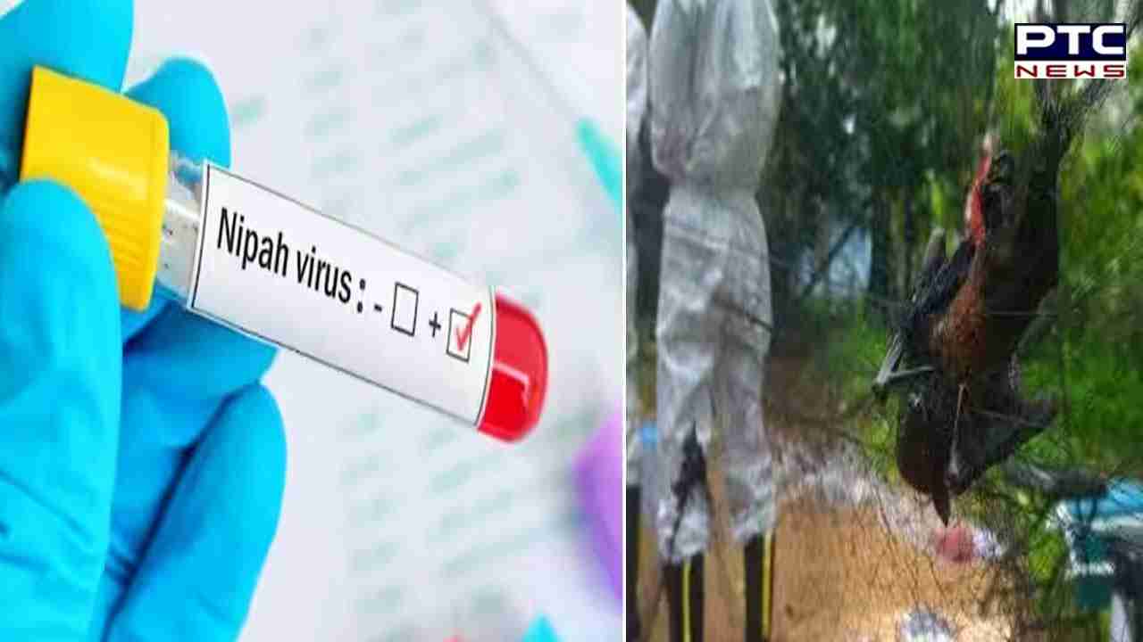 Kerala faces Nipah virus outbreak; Health Minister confirms two deaths