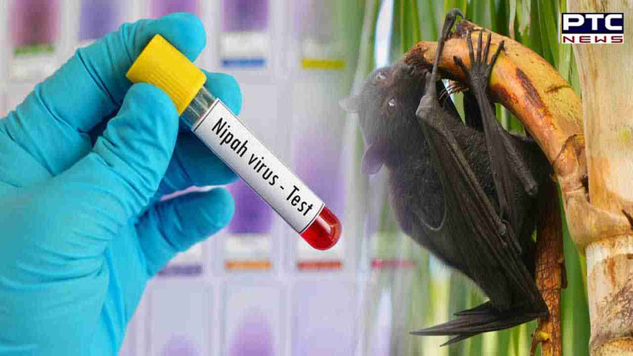 Nipah Virus: ਕੀ ਹੈ ਨਿਪਾਹ ਵਾਇਰਸ, ਜਾਣੋ ਕੀ ਹਨ ਲੱਛਣ