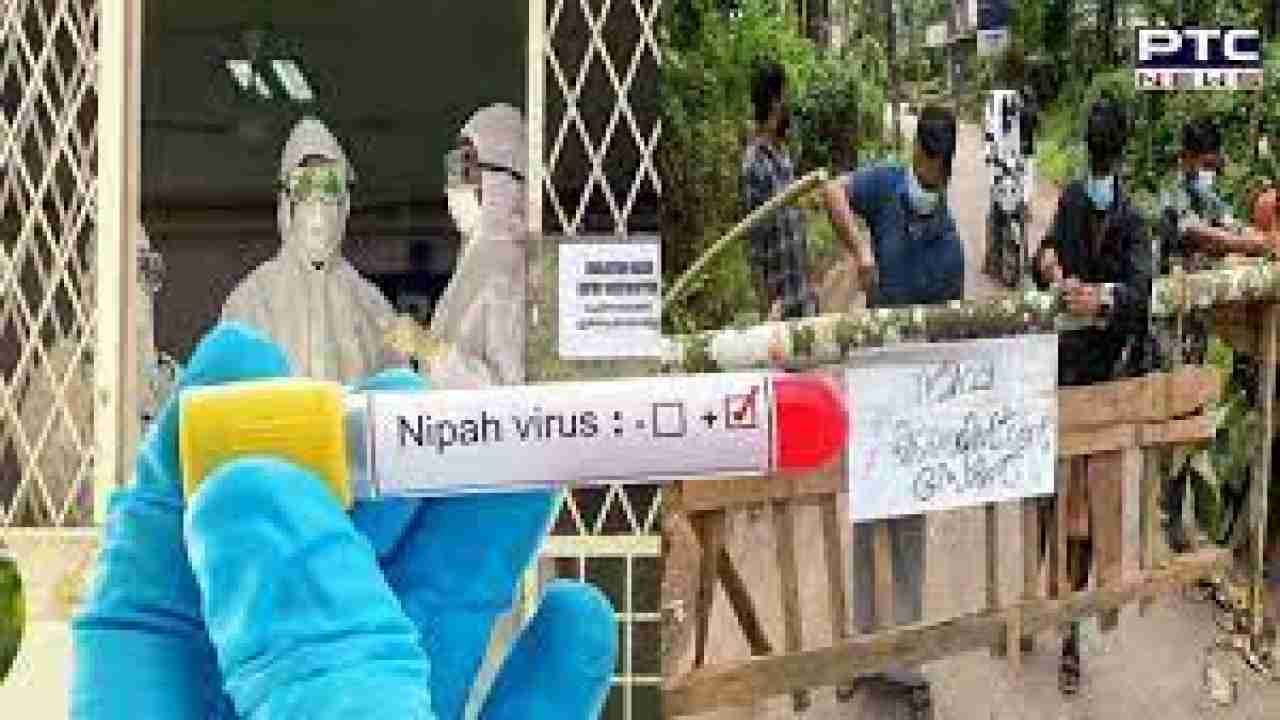 Student dies from Nipah virus in Kerala; 151 under surveillance