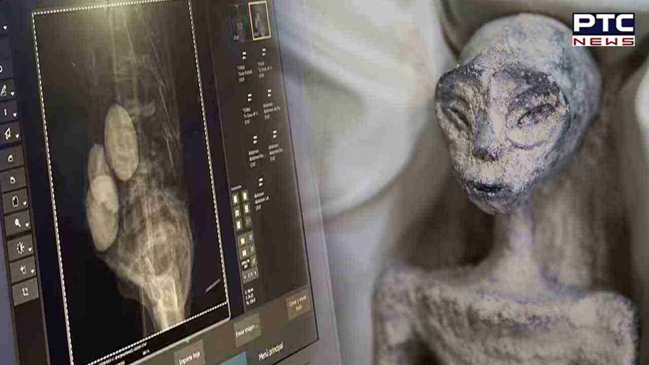 ਮੈਕਸਿਕੋ ਦੀ ਸੰਸਦ 'ਚ ਪ੍ਰਦਰਸ਼ਿਤ ਕੀਤੀ 'Alien' ਦੀ ਮ੍ਰਿਤਕ ਦੇਹ; ਲੈਬ ਟੈਸਟ 'ਚ ਹੋਇਆ ਵੱਡਾ ਖ਼ੁਲਾਸਾ