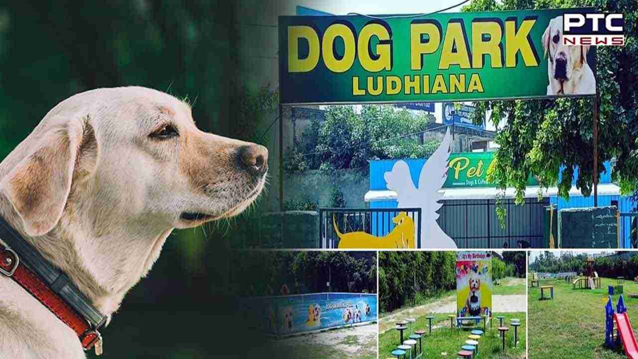 ਲੁਧਿਆਣਾ 'ਚ ਬਣਿਆ ਪੰਜਾਬ ਦਾ ਪਹਿਲਾ Dog Park