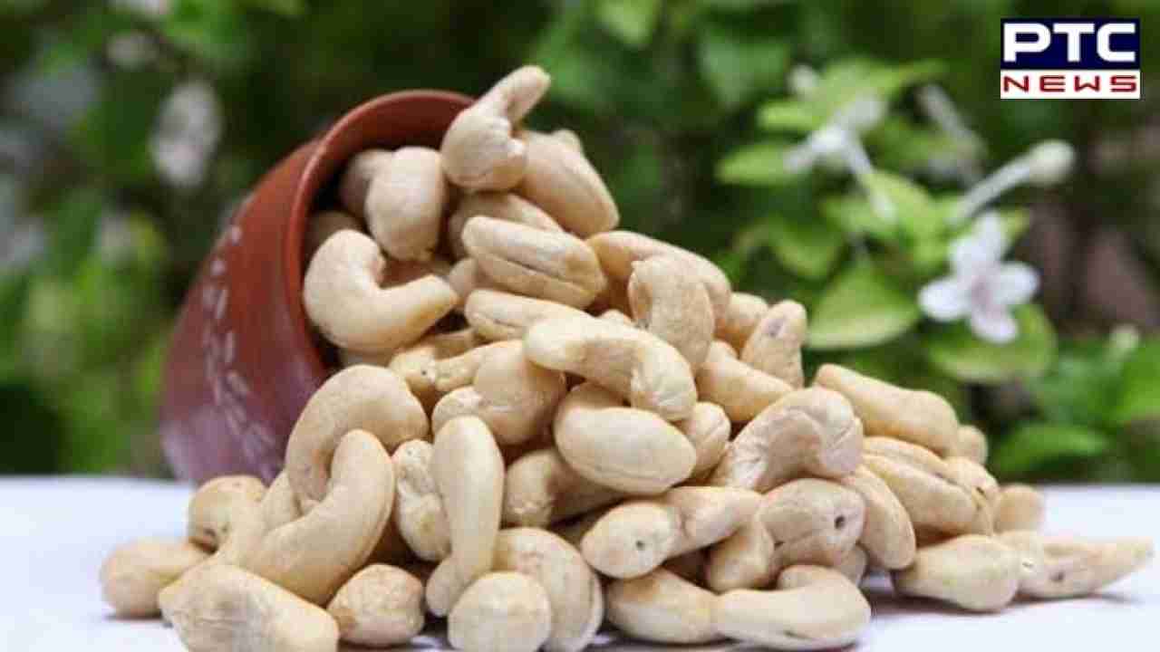 Cashew Milk Benefits : ਭਾਰ ਘਟਾਉਣ 'ਚ ਮਦਦਗਾਰ ਹੈ ਕਾਜੂ ਦਾ ਦੁੱਧ