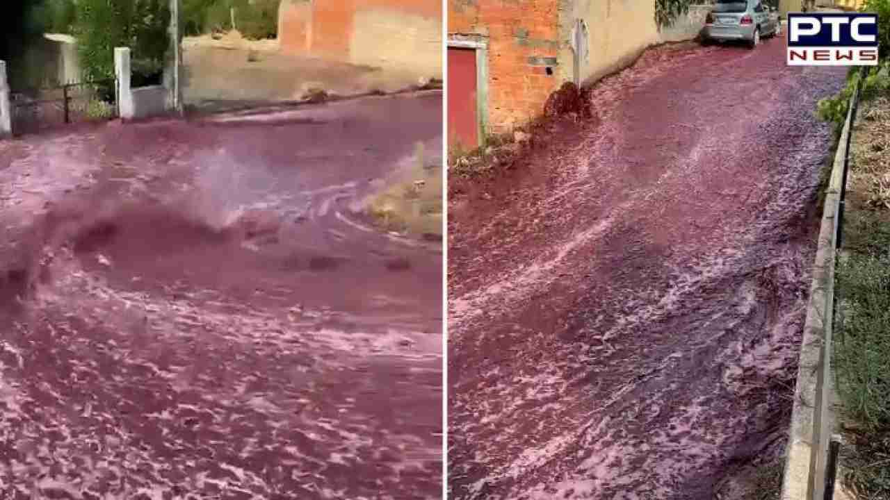 2.2 million liters of wine flow through Portuguese town – Watch here