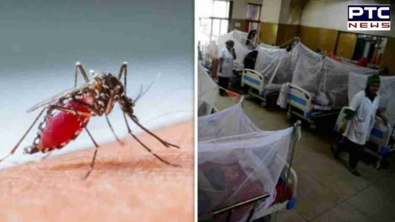 Uttarakhand dengue cases surge: Dehradun battling alarming outbreak