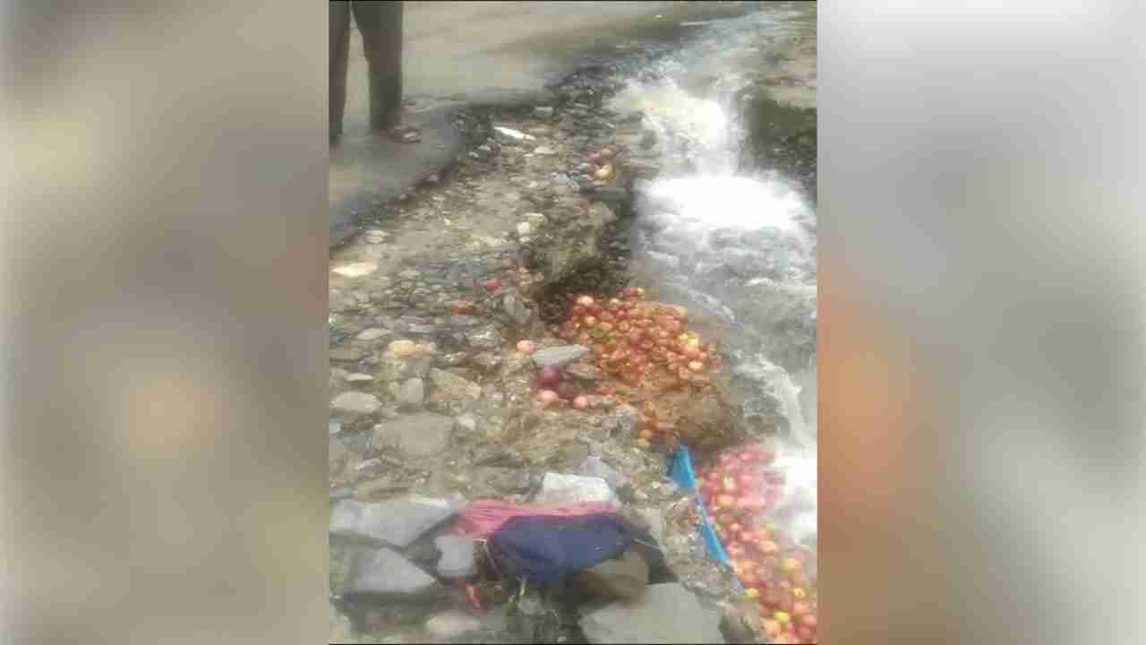 Himachal:  सेब को नाले में फेंकने वाले बागवान पर एक लाख रुपए जुर्माना, BJP बोली सुक्खू सरकार ले रही बागवान विरोधी निर्णय