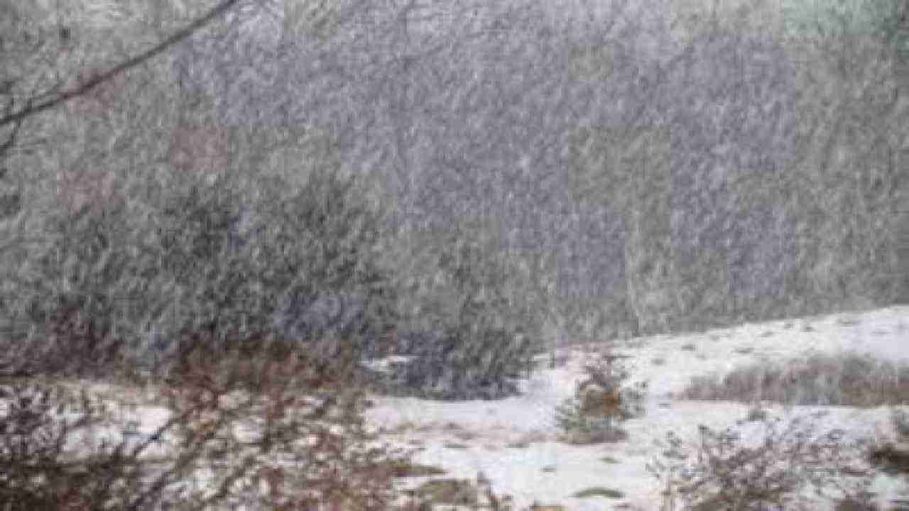 धर्मशाला: 5 हजार फुट की उंचाई पर 24 घंटे बहोश पड़ा रहा ट्रैकर, जान का बाजी लगाकर दोस्त ने बचाई जान
