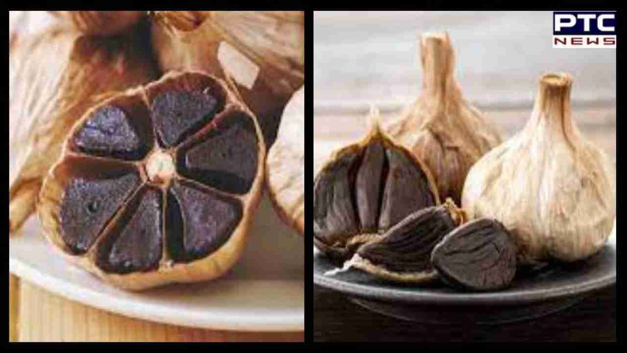 Black Garlic Benefits : ਇਨ੍ਹਾਂ ਬਿਮਾਰੀਆਂ ਨੂੰ ਦੂਰ ਕਰਨ 'ਚ ਲਾਹੇਵੰਦ ਕਾਲੇ ਲਸਣ ਦਾ ਸੇਵਨ