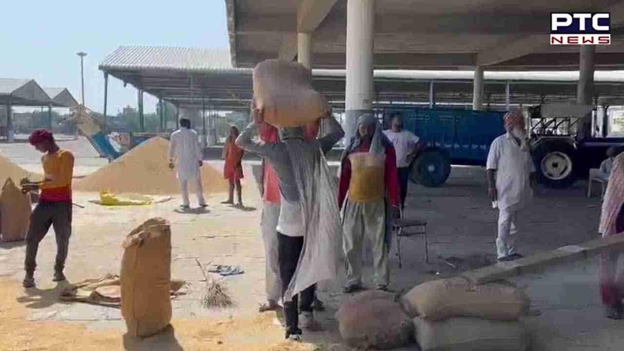 Paddy Procurement Begins:  ਪੰਜਾਬ ਦੀਆਂ ਮੰਡੀਆਂ ’ਚ ਅੱਜ ਤੋਂ ਝੋਨੇ ਦੀ ਸਰਕਾਰੀ ਖਰੀਦ ਸ਼ੁਰੂ, ਜਾਣੋ ਕਿਵੇਂ ਦੇ ਹਨ ਹਾਲ