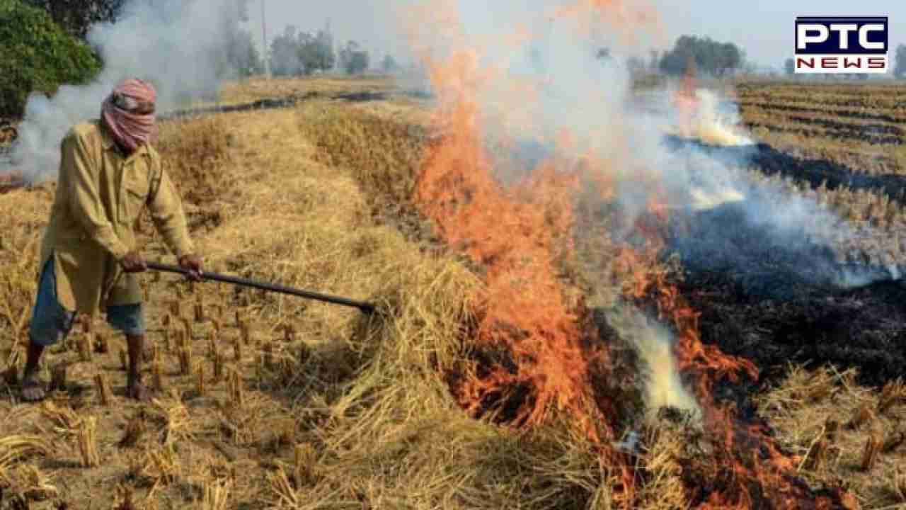 Punjab Stubble Burning: ਪਰਾਲੀ ਸਾੜਨ ਵਾਲਿਆਂ ਖਿਲਾਫ ਪੰਜਾਬ ਸਰਕਾਰ ਦੀ ਸਖ਼ਤੀ, 776 ਨੋਡਲ ਅਧਿਕਾਰੀ ਕੀਤੇ ਤੈਨਾਤ