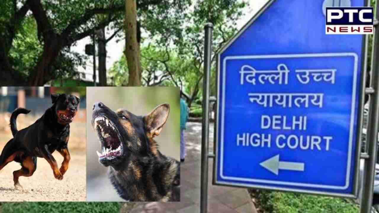 'Wrong trend': HC refuses to entertain plea seeking ban on 'dangerous' dog breeds