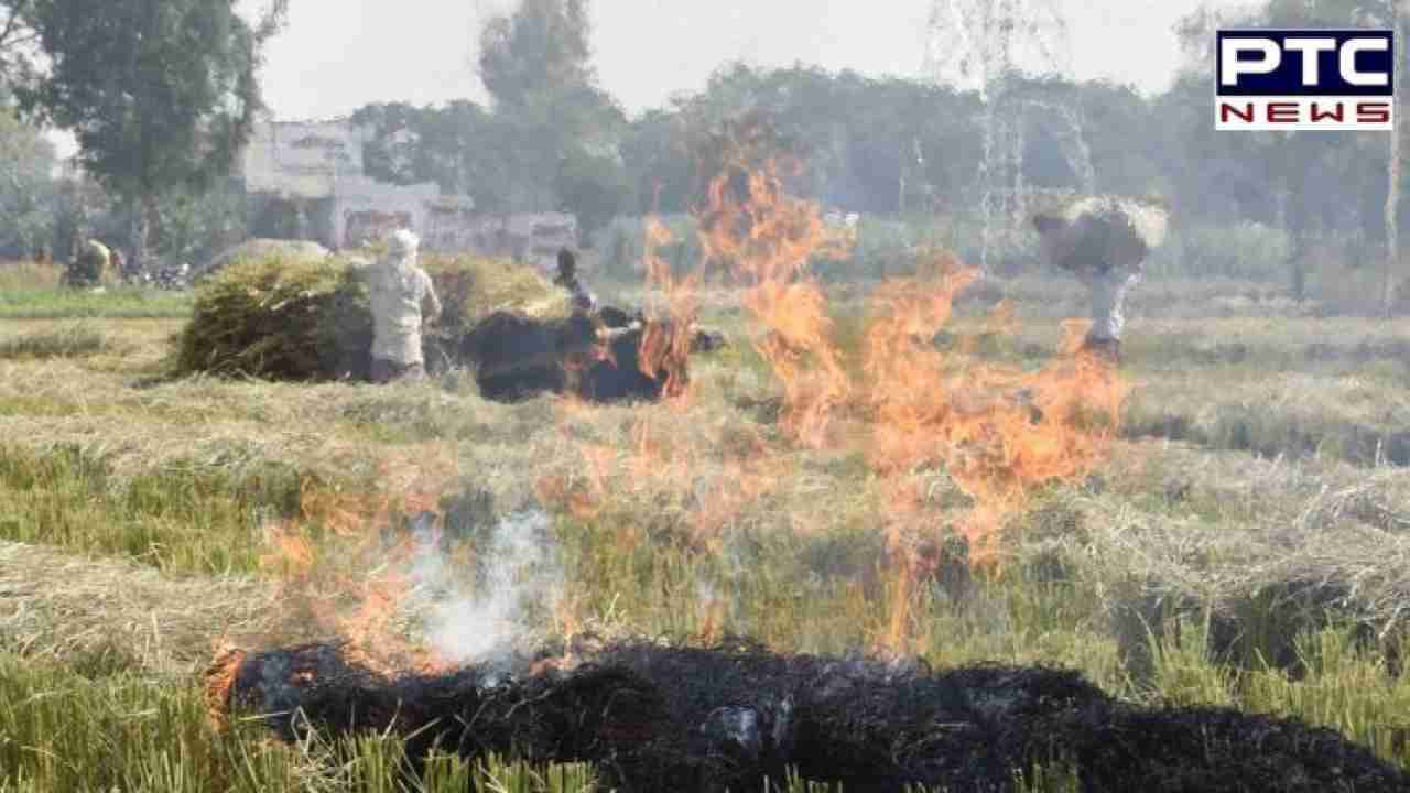 Decline in stubble burning in Punjab, Haryana this year: Centre's panel