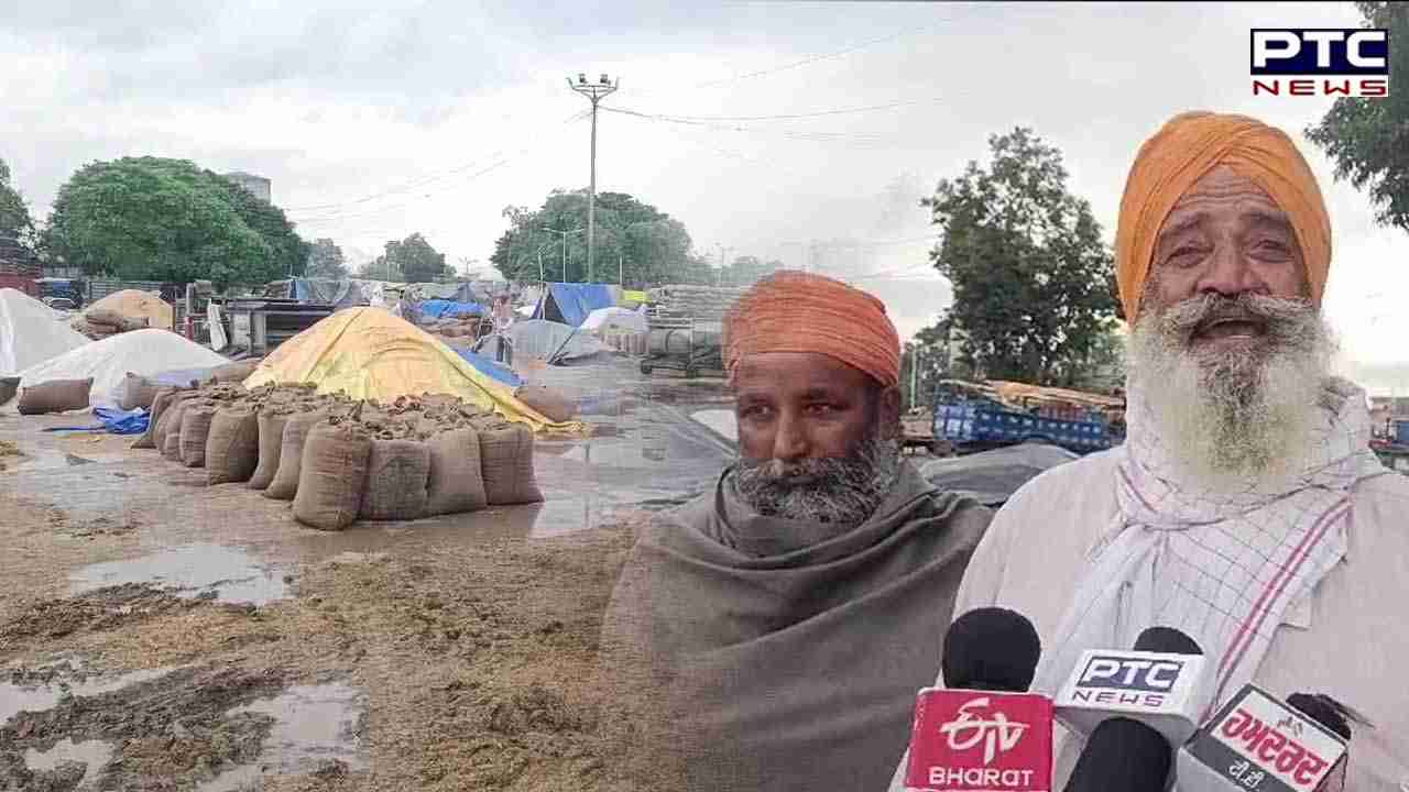 Punjab Farmer Upset: ਮੀਂਹ ਨੇ ਖੋਲ੍ਹੀ ਮੰਡੀ ਪ੍ਰਬੰਧਾਂ ਦੀ ਪੋਲ, ਕੁਦਰਤ ਅੱਗੇ ਬੇਵੱਸ ਨਜ਼ਰ ਆਏ ਕਿਸਾਨ