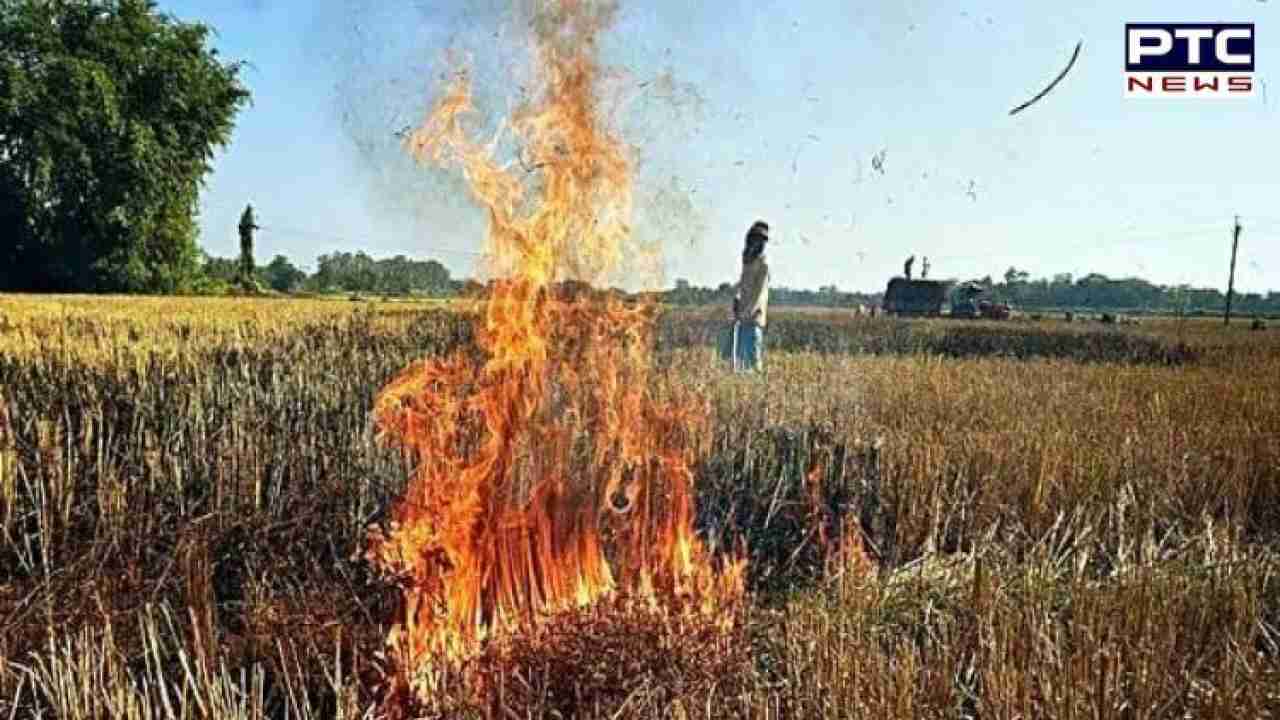 Stubble Burning In Punjab: ਪੰਜਾਬ ਦੇ ਇਸ ਜ਼ਿਲ੍ਹੇ ’ਚ ਪਰਾਲੀ ਸਾੜਨ ਦੇ ਸਭ ਤੋਂ ਵੱਧ ਮਾਮਲੇ ਆਏ ਸਾਹਮਣੇ