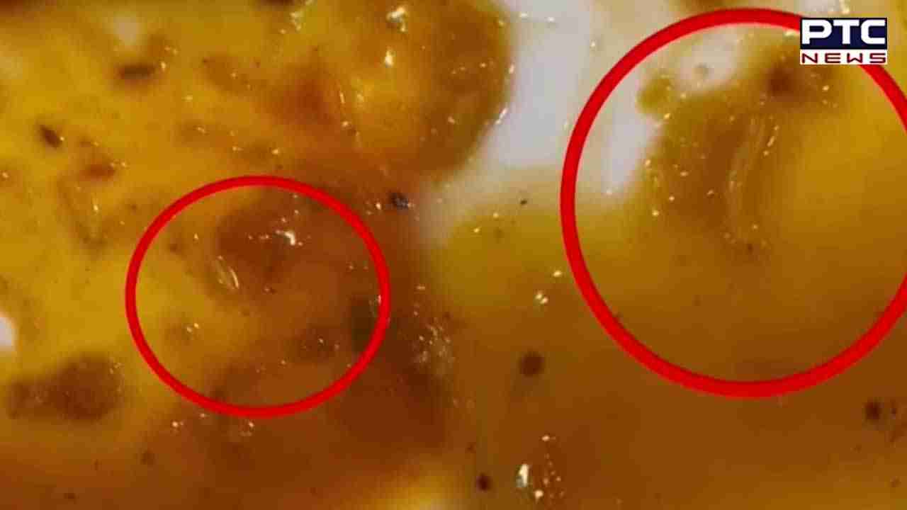 ਵਿਆਹ ਦੌਰਾਨ ਹੋਟਲ ਵਾਲਿਆਂ ਨੇ ਬਰਾਤੀਆਂ ਨੂੰ ਖਵਾਈਆਂ ਜਿਊਂਦੀਆਂ ਸੂੰਡੀਆਂ, ਭੜਕੇ ਲੋਕਾਂ ਨੇ ਸੜਕ 'ਤੇ ਲਗਾ ਦਿੱਤਾ ਜਾਮ