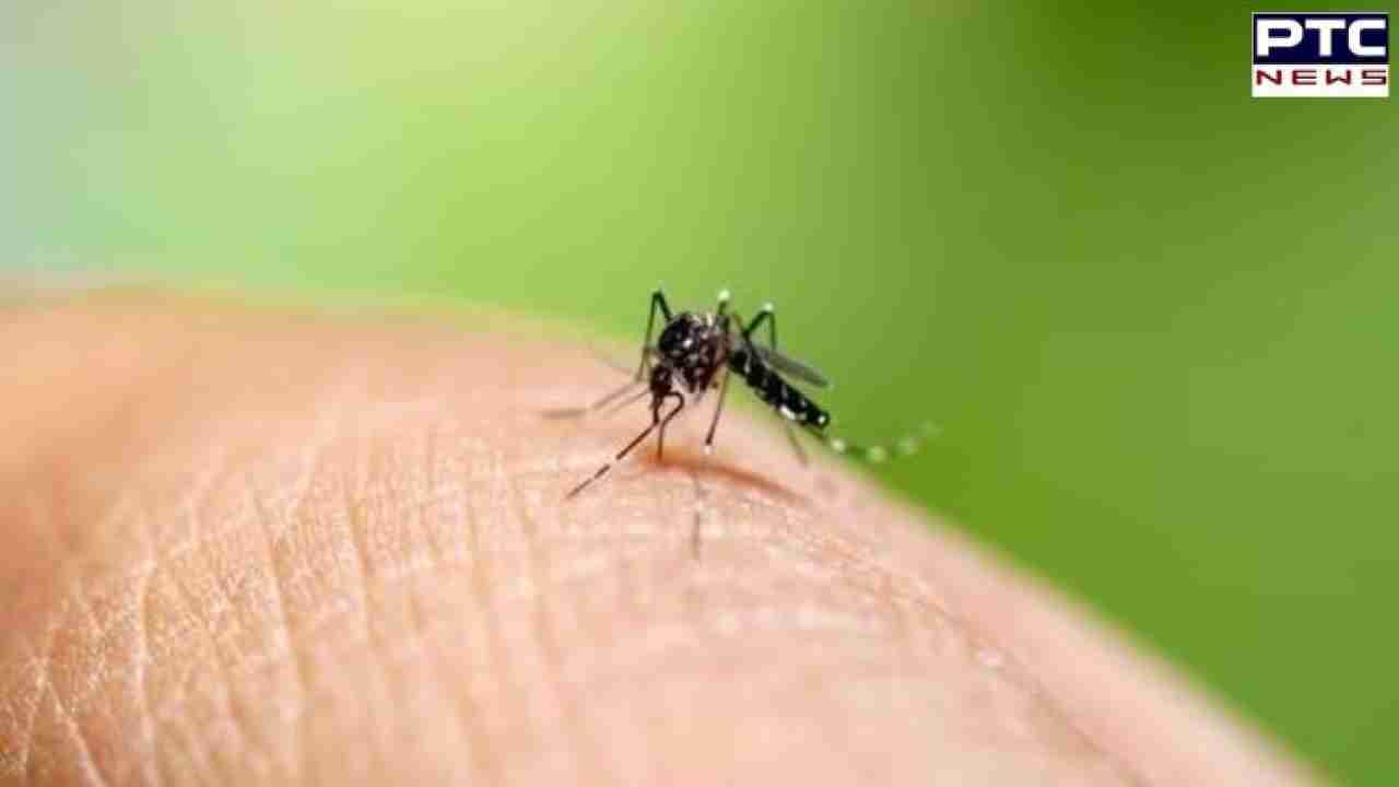 Chikungunya vaccine: First-ever Chikungunya vaccine gets US approval to combat mosquito-borne virus
