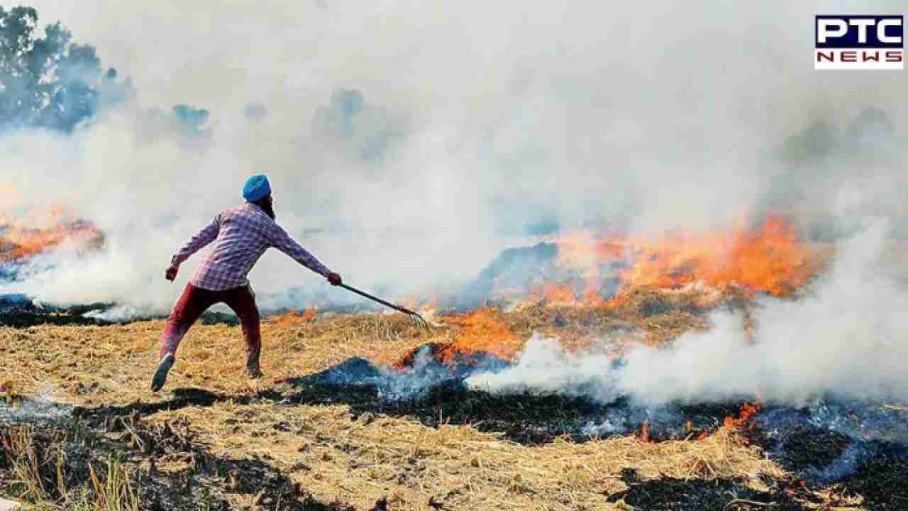 Stubble burning: Punjab and Haryana farmers employ nighttime stubble burning tactics to evade detection