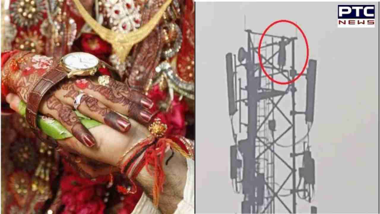 Love Drama Unfolds: Woman scales mobile tower in UP's Maharajganj to convince beau to marry her