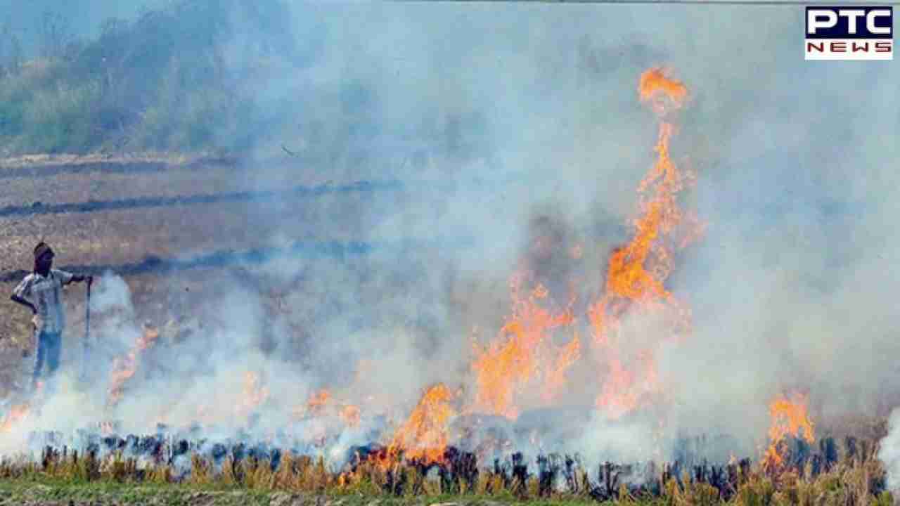 Supreme Court asks Punjab to emulate Haryana in reducing stubble burning