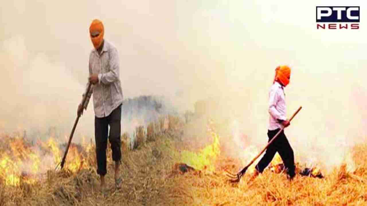 Stubble Burning : ਫਿਰੋਜ਼ਪੁਰ 'ਚ ਕਿਸਾਨਾਂ ਨੂੰ ਪਰਾਲੀ ਸਾੜਨ ਤੋਂ ਨਾ ਰੋਕਣ 'ਤੇ 5 ਕਰਮਚਾਰੀ ਮੁਅੱਤਲ