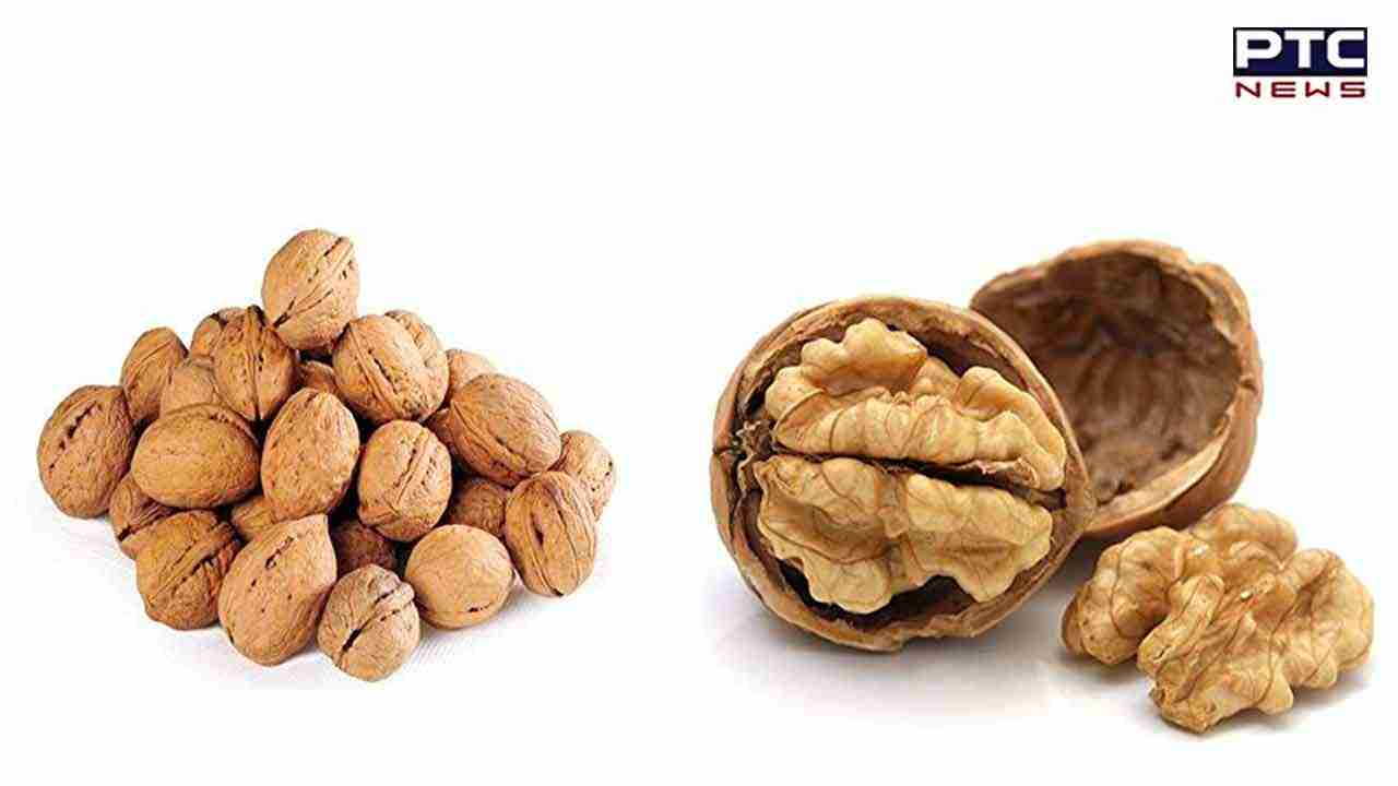 Side Effects Of Walnuts: ਅਖਰੋਟ ਸੁਆਦ ਦੇ ਨਾਲ ਨਾਲ ਬੱਚਿਆਂ ਲਈ ਹੈ ਨੁਕਸਾਨਦੇਹ, ਜਾਣੋ ਕਿਵੇਂ