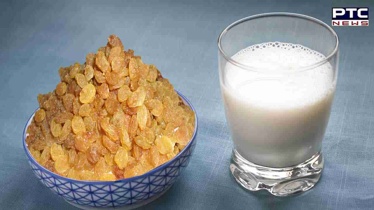 Drink Raisins Boiled In Milk: ਕਈ ਸਿਹਤ ਸਮੱਸਿਆਵਾ ਨੂੰ ਦੂਰ ਕਰਨ 'ਚ ਲਾਹੇਵੰਦ ਹੈ ਕਿਸ਼ਮਿਸ਼ ਨੂੰ ਦੁੱਧ 'ਚ ਉਬਾਲ ਕੇ ਪੀਣਾ, ਜਾਣੋ