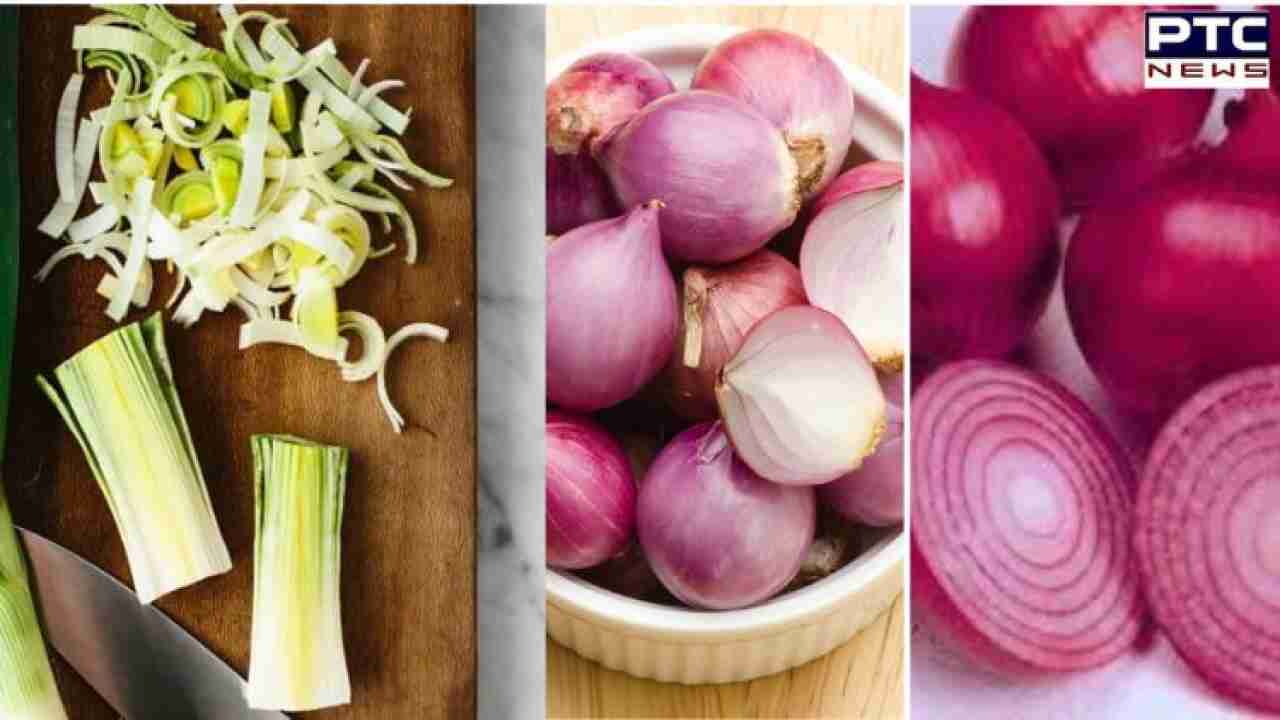 Onion Price Hike: Hacks onion-free gravy that will leave you speechless