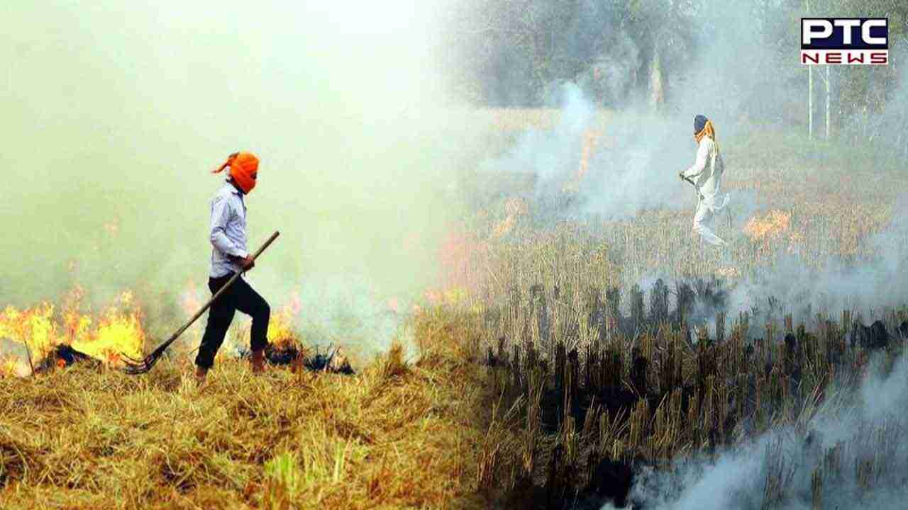 ਪੰਜਾਬ 'ਚ ਪਰਾਲੀ ਨੂੰ ਅੱਗ ਲਾਉਣ ਦੇ ਮਾਮਲੇ 10,000 ਤੋਂ ਹੋਏ ਪਾਰ