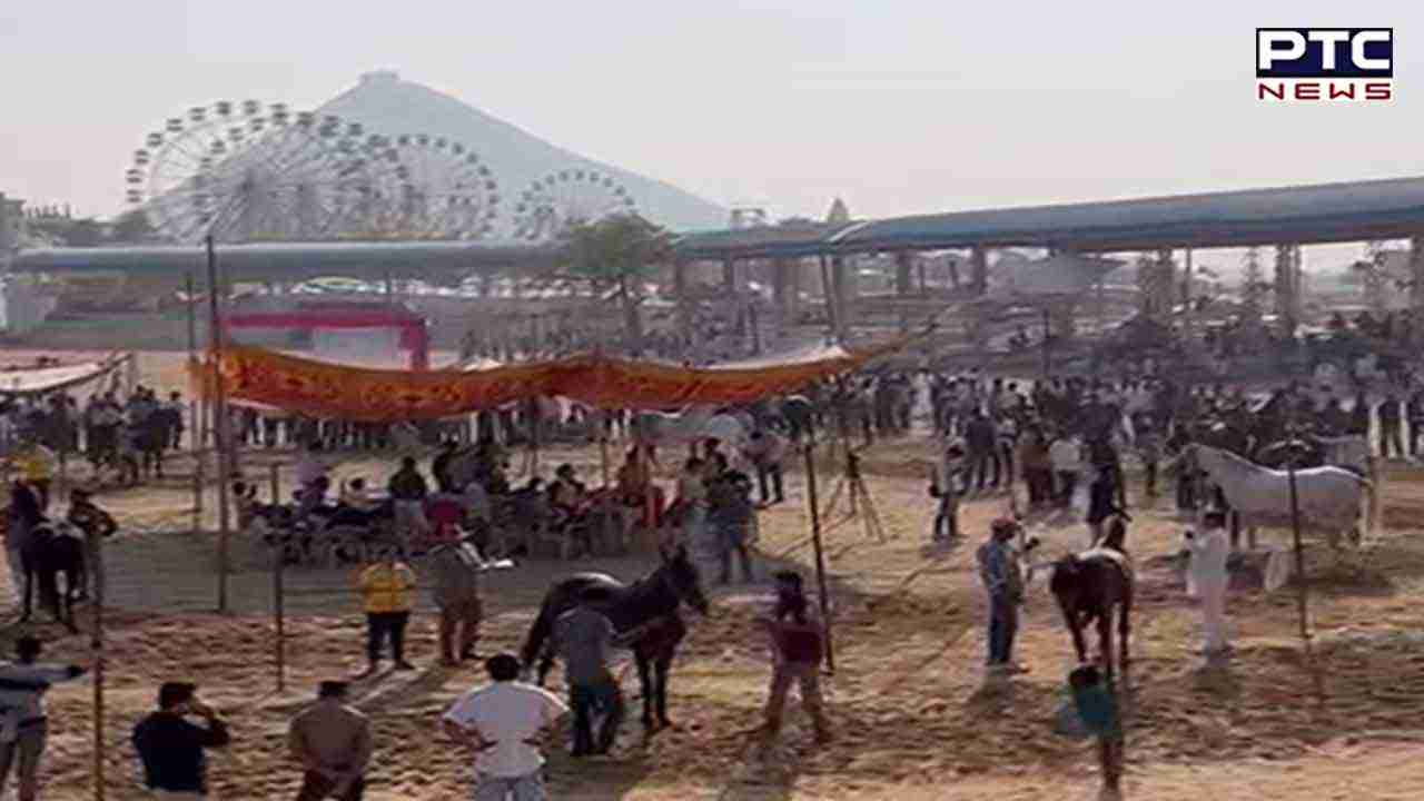 Pushkar Mela : ਰਾਜਸਥਾਨ ਦੇ ਅਜਮੇਰ 'ਚ ਸ਼ੁਰੂ ਹੋ ਗਿਆ ਹੈ ਪੁਸ਼ਕਰ ਮੇਲਾ, ਜਾਣੋ ਇਸ ਵਾਰ ਦੀ ਖਾਸੀਅਤ