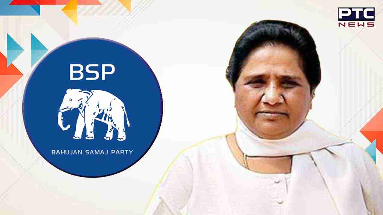 BSP Chief Mayawati Successor: ਬਸਪਾ ਸੁਪਰੀਮੋ ਮਾਇਆਵਤੀ ਨੇ ਭਤੀਜੇ ਆਕਾਸ਼ ਆਨੰਦ ਨੂੰ ਐਲਾਨਿਆ ਆਪਣਾ ਉੱਤਰਾਧਿਕਾਰੀ