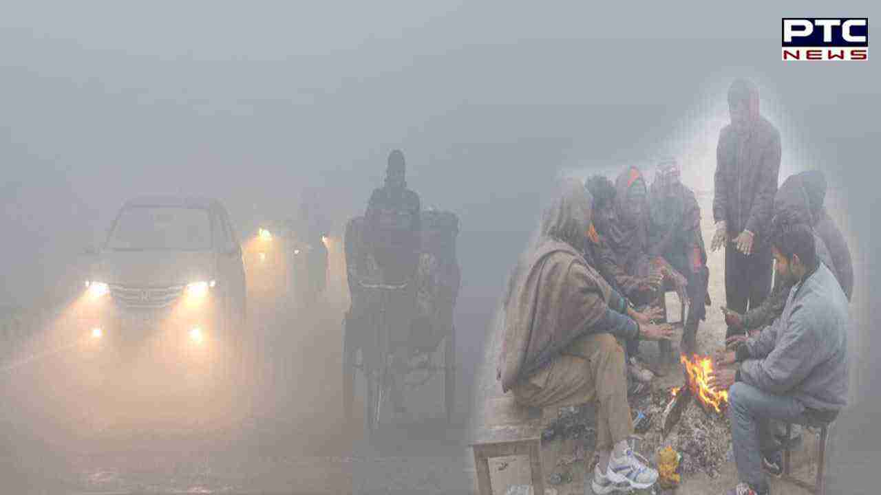 Cold wave to grip Delhi-NCR, Punjab, Haryana; temperature plummets