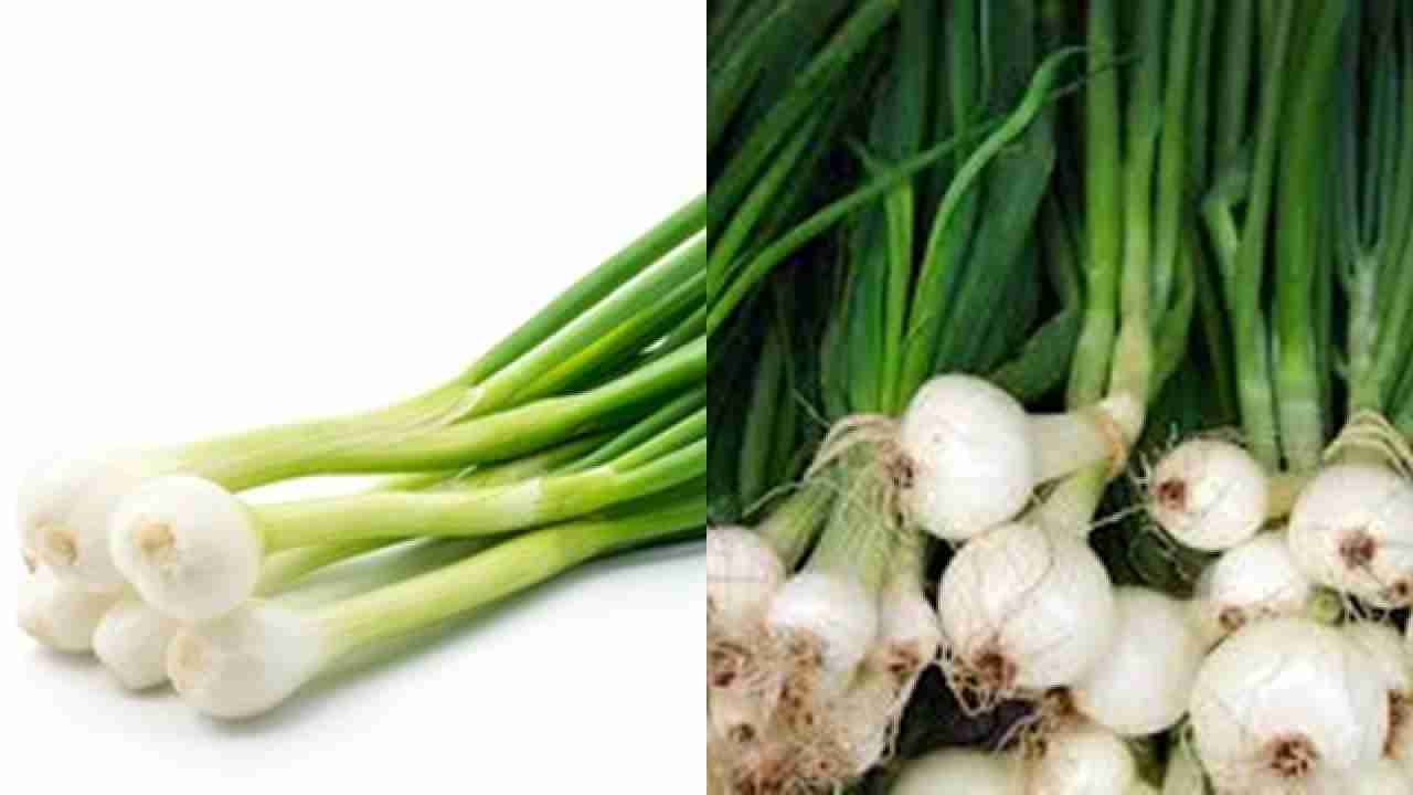 What Is Green Garlic?