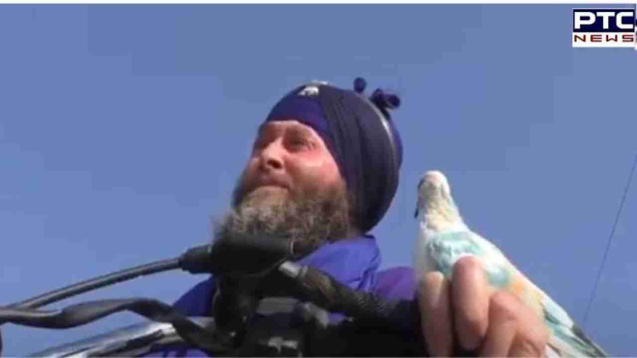 Feathers of Friendship: Jathedar Bhupinder Singh's remarkable pigeon bond in Ludhiana | Exclusive Video